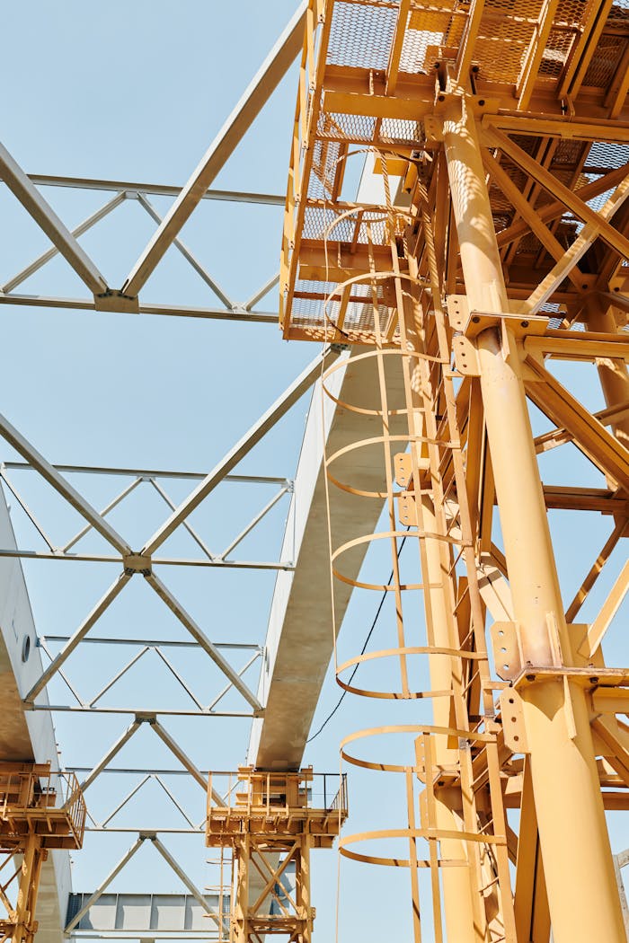 pexels photo 8960994.jpeg